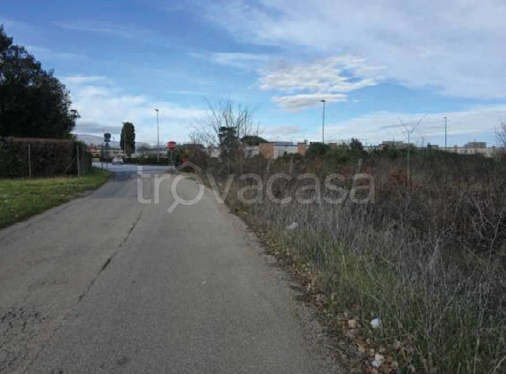 immagine annuncio 12 di 14