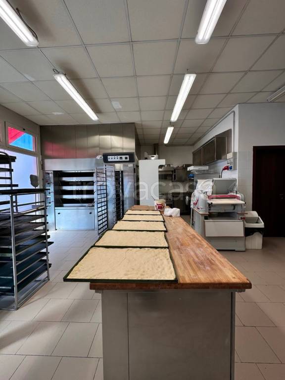 immagine annuncio 4 di 11