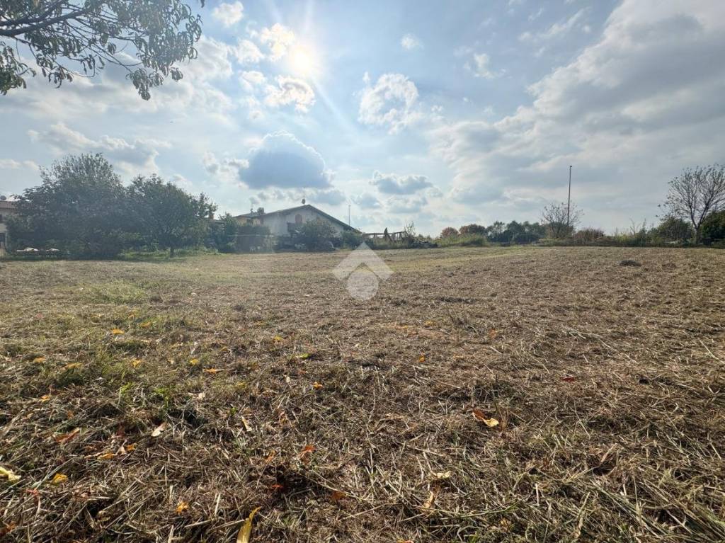 immagine annuncio 2 di 8