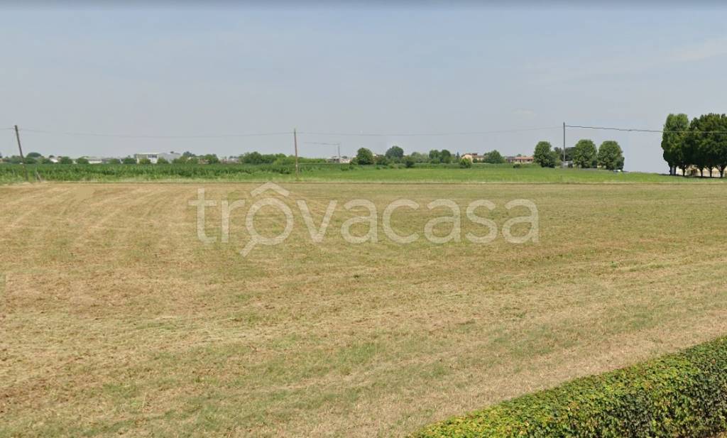 immagine annuncio 4 di 6