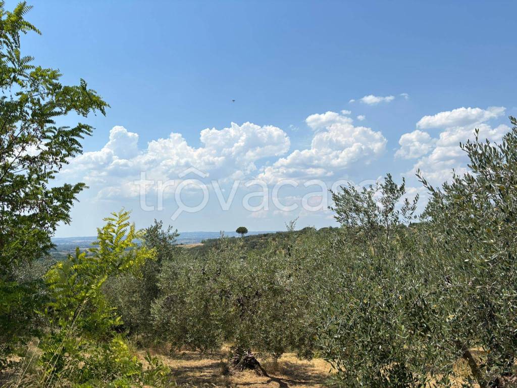 immagine annuncio 6 di 7