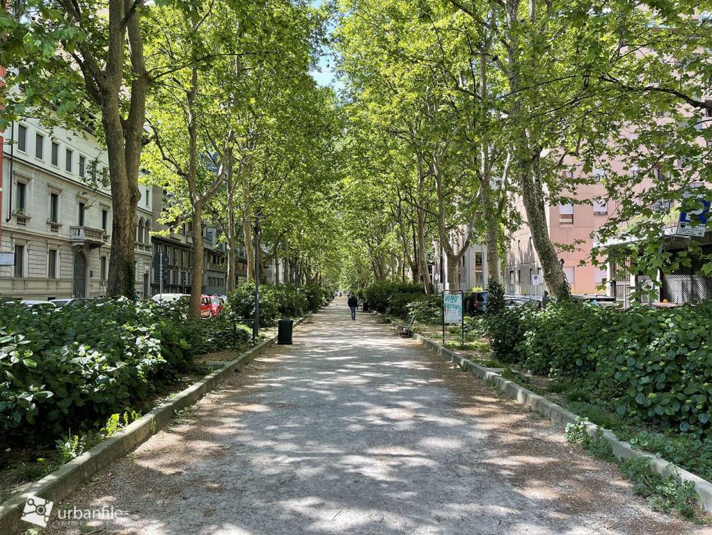 immagine annuncio 5 di 14