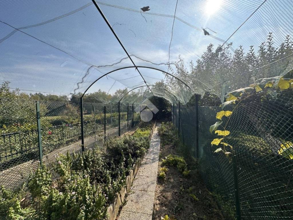 immagine annuncio 5 di 15