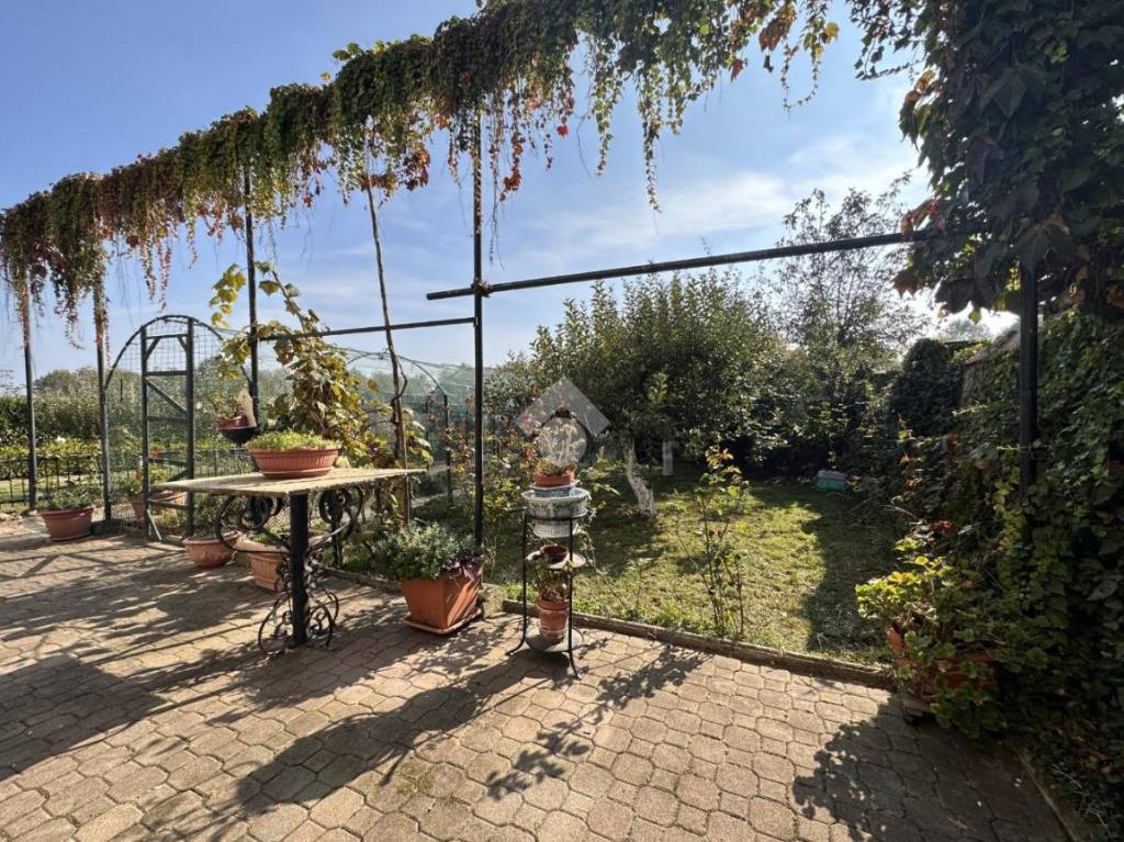 immagine annuncio 9 di 15