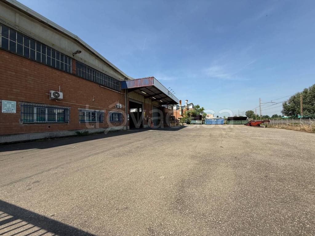 immagine annuncio 5 di 15