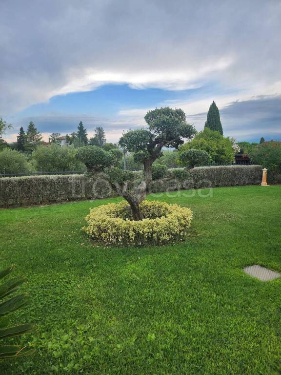 immagine annuncio 2 di 14