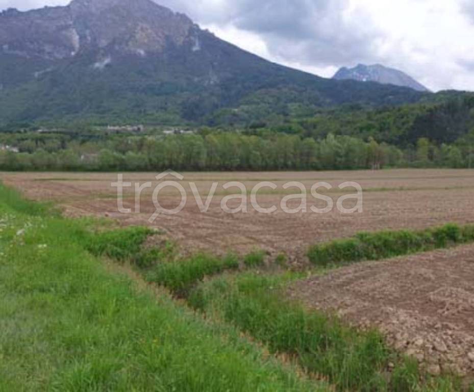 immagine annuncio 4 di 12