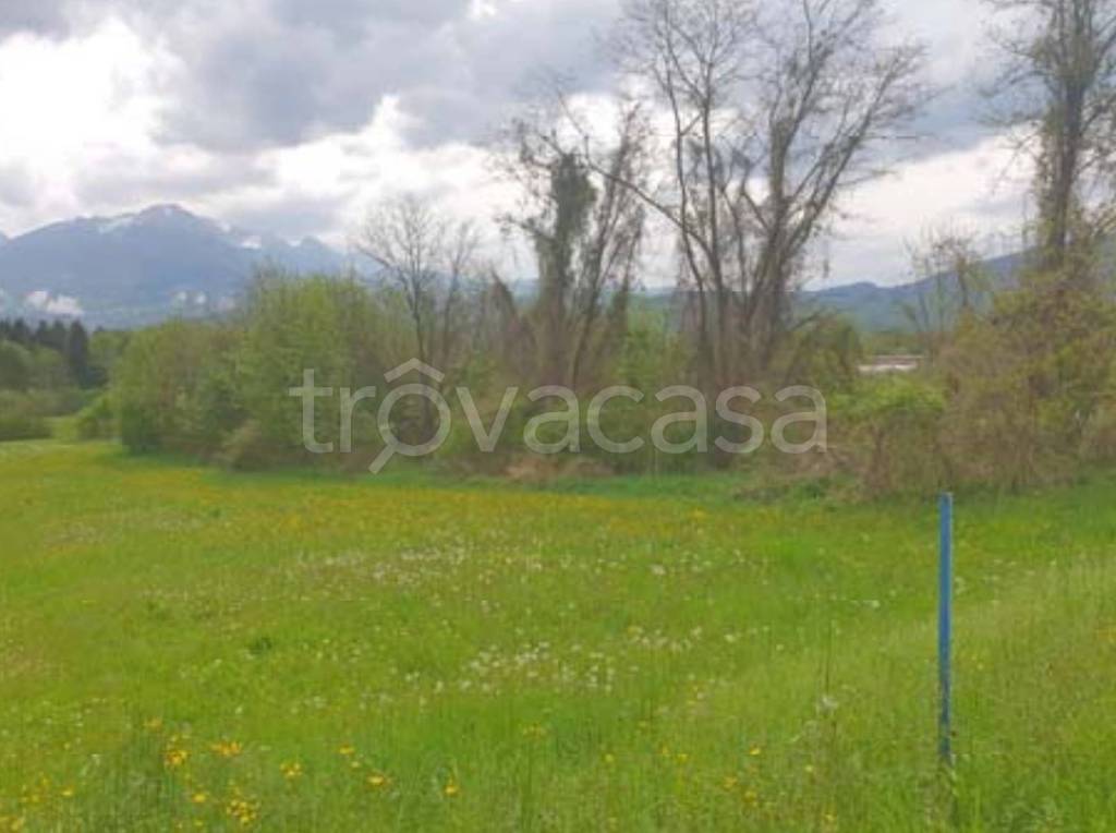 immagine annuncio 7 di 12