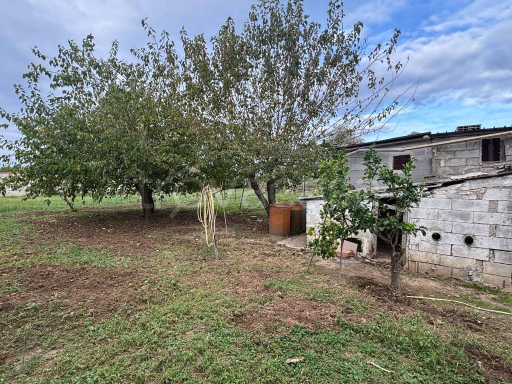 immagine annuncio 4 di 11