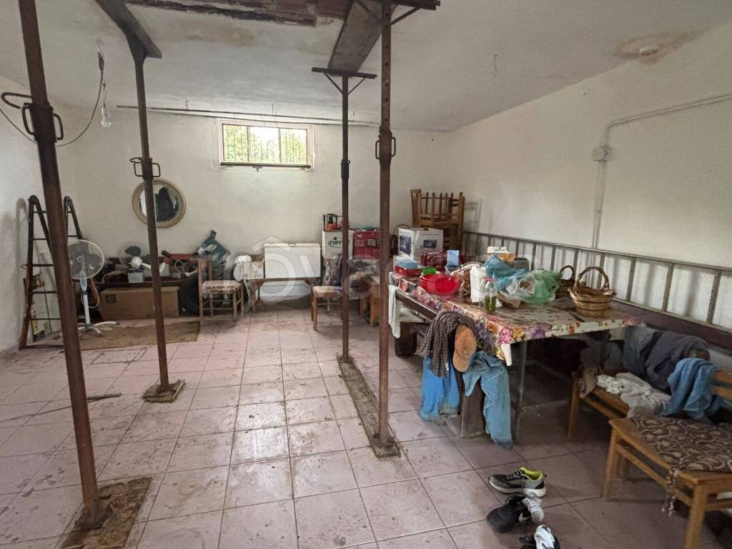 immagine annuncio 6 di 11