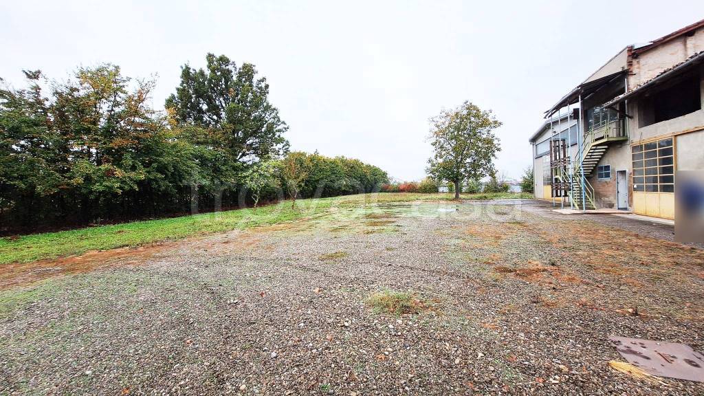 immagine annuncio 11 di 12