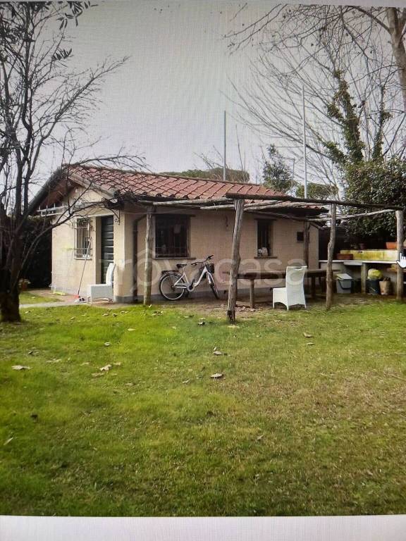 immagine annuncio 3 di 9