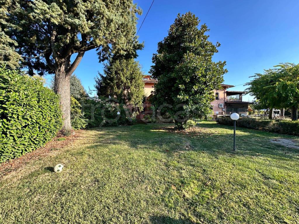 immagine annuncio 4 di 15