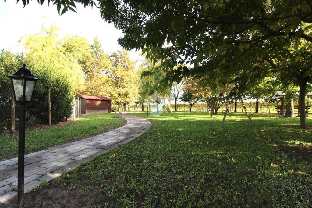 immagine annuncio 9 di 15