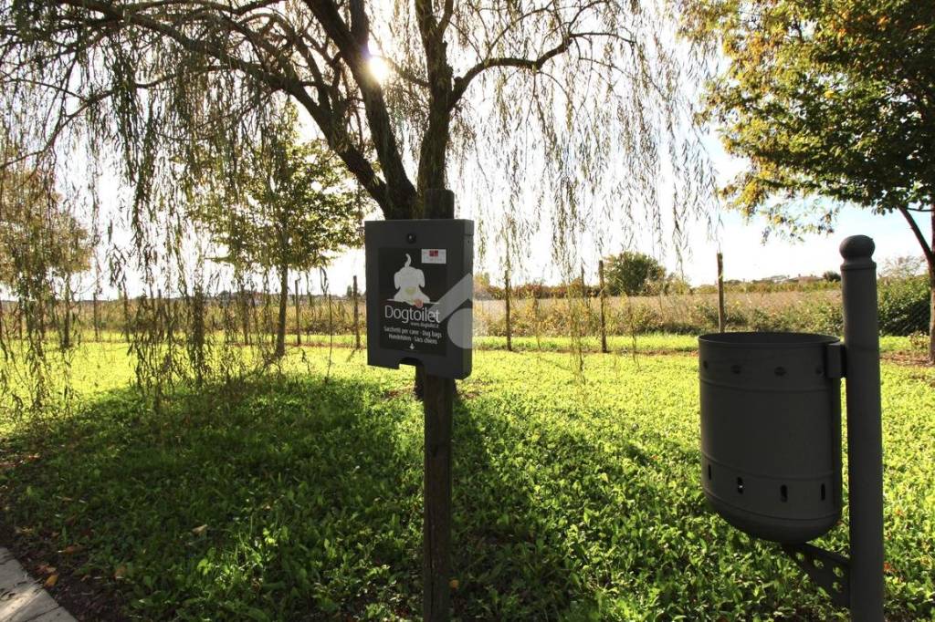 immagine annuncio 14 di 15