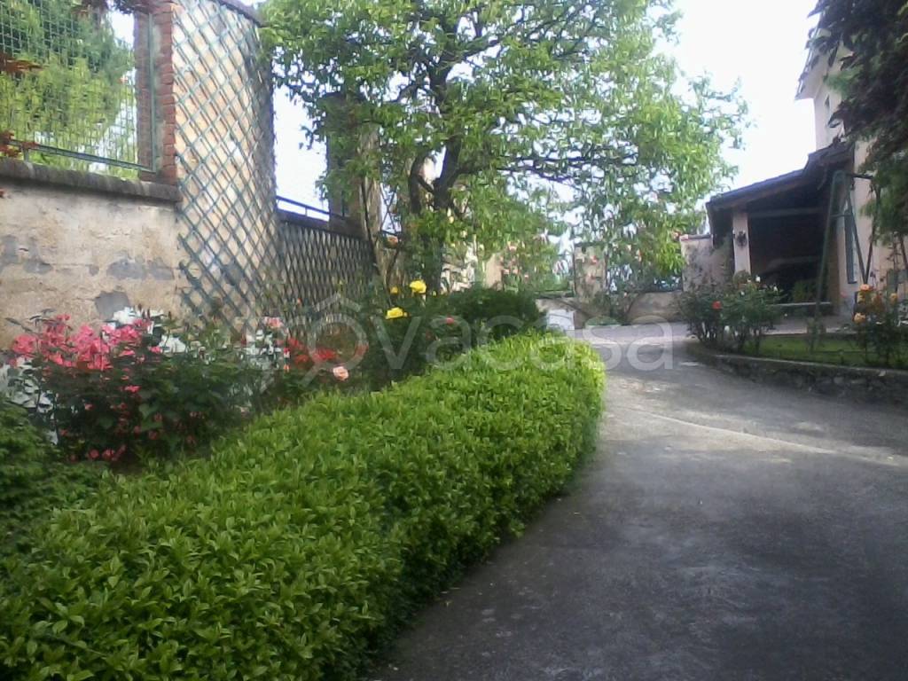 immagine annuncio 3 di 12