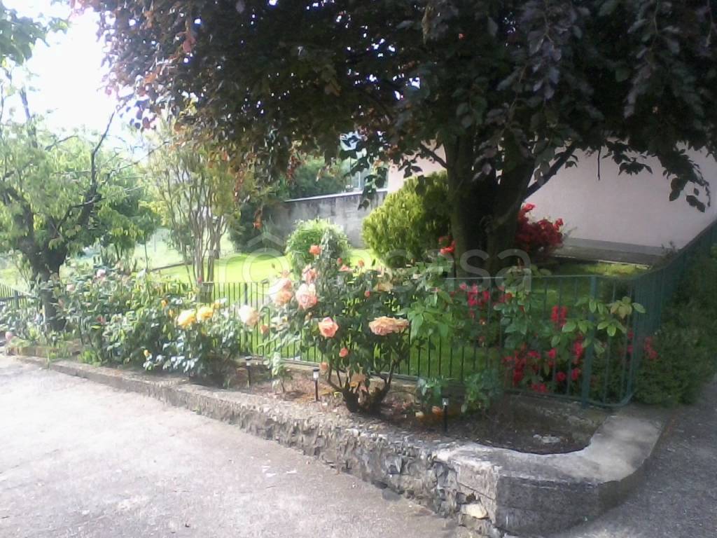 immagine annuncio 5 di 12