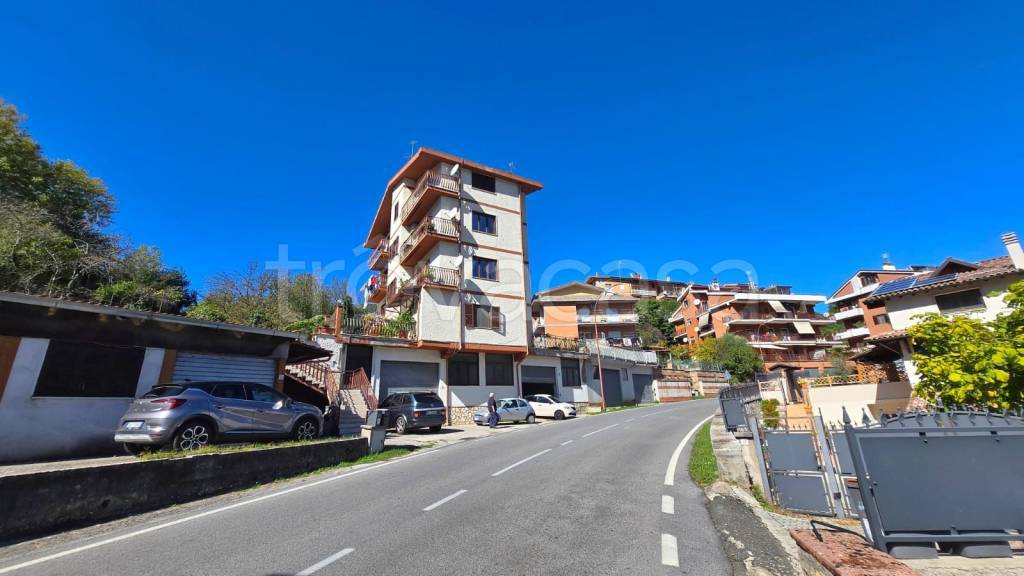 immagine annuncio 12 di 13