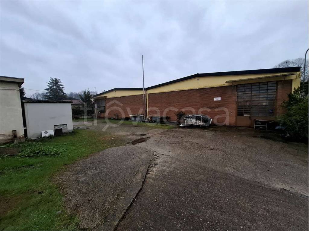 immagine annuncio 2 di 6