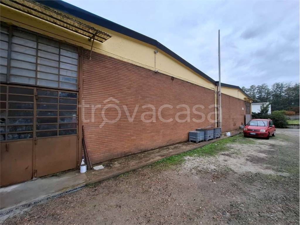 immagine annuncio 3 di 6