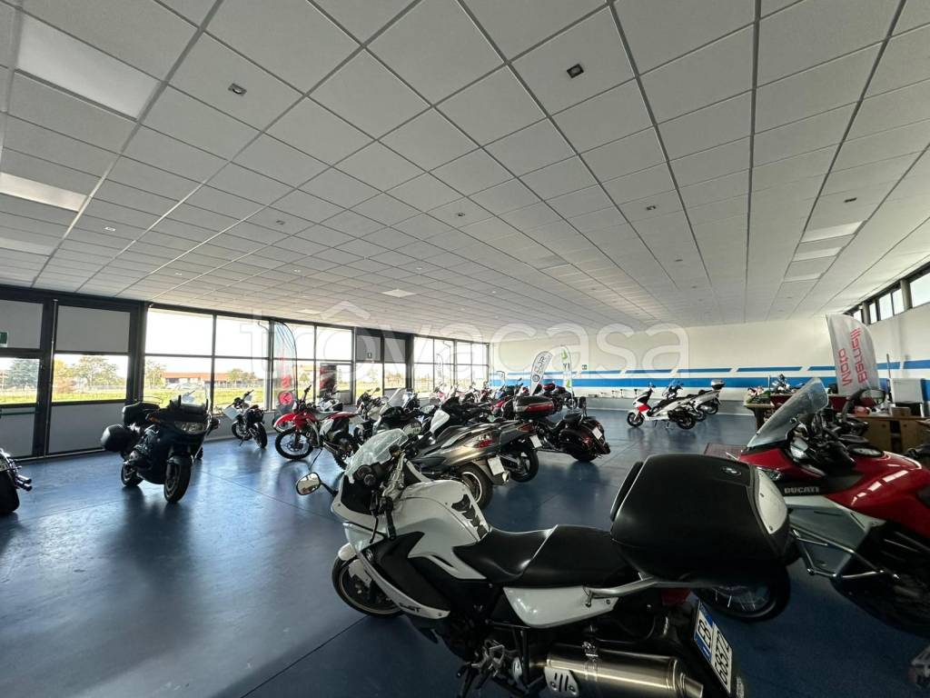 immagine annuncio 11 di 15