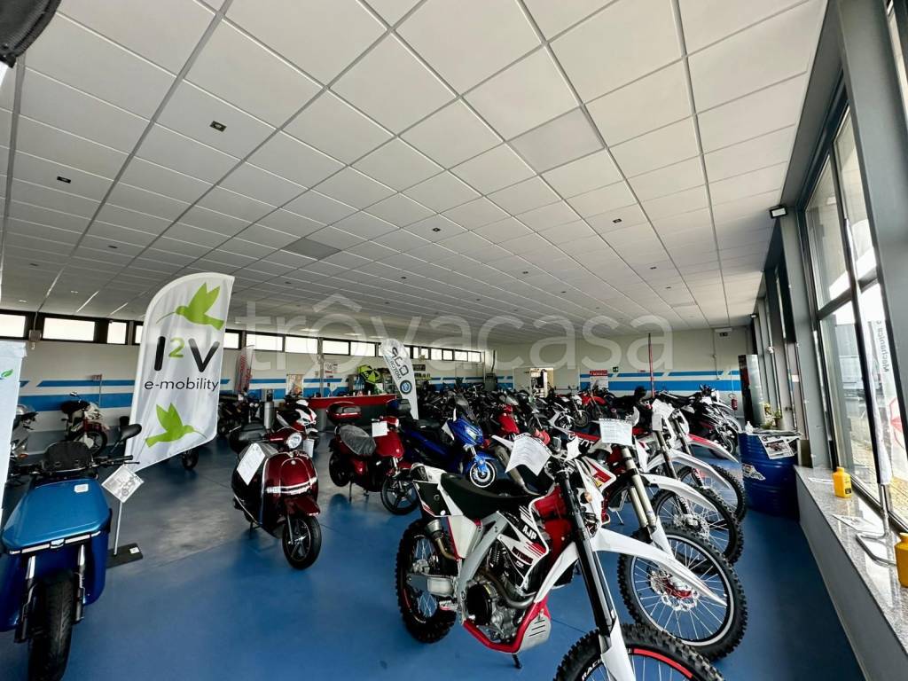 immagine annuncio 9 di 15