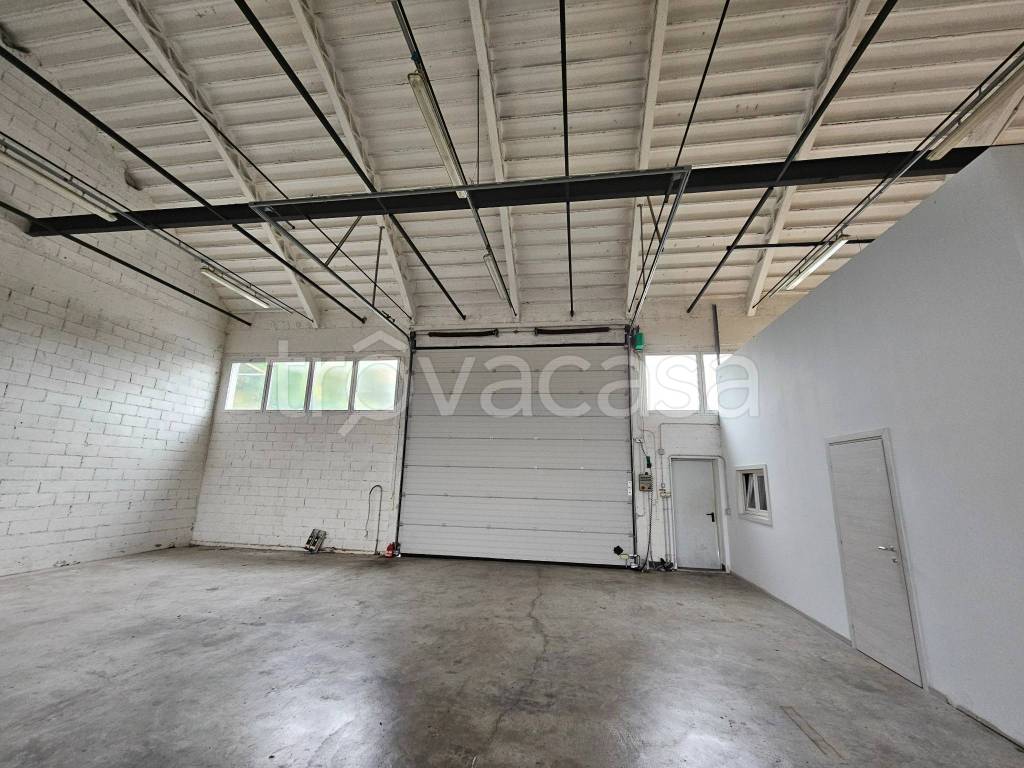 immagine annuncio 2 di 13