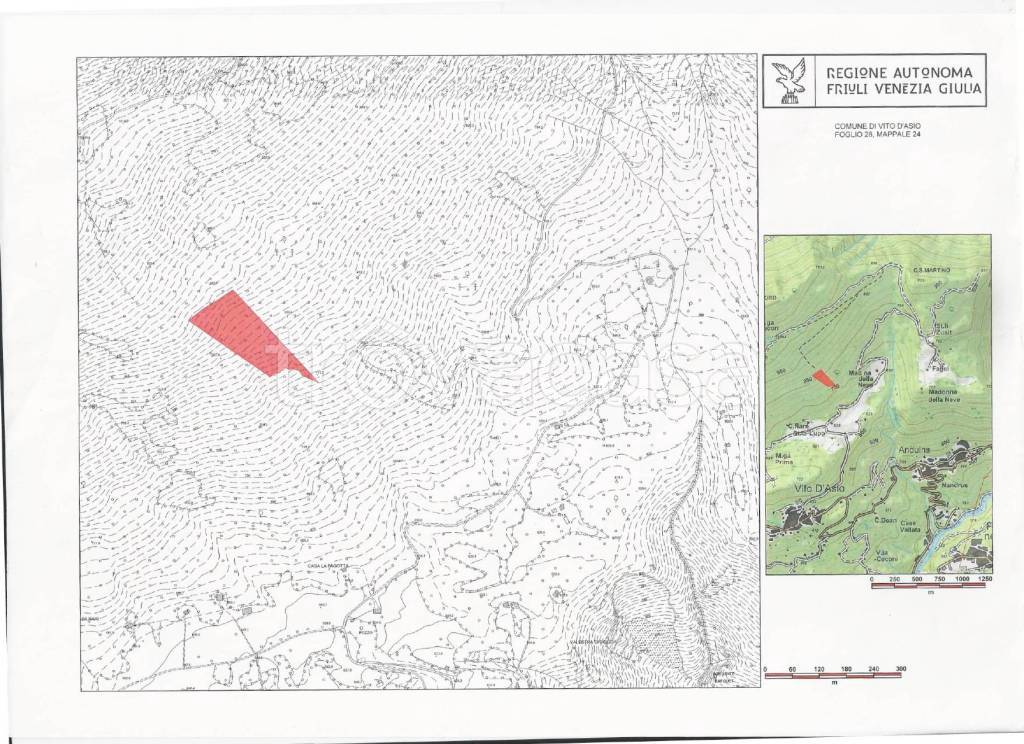 immagine annuncio 6 di 7