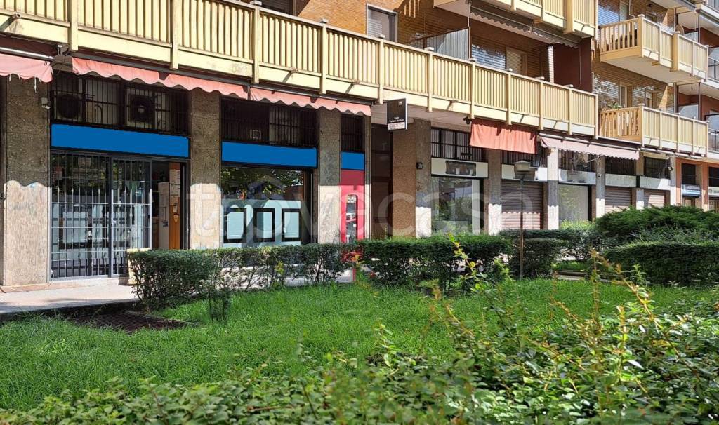 immagine annuncio 8 di 15