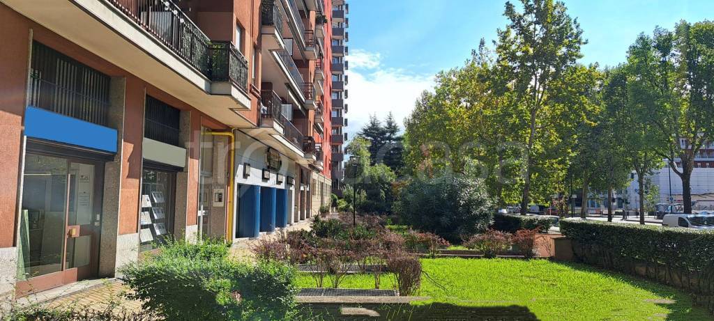 immagine annuncio 2 di 4