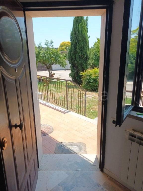 immagine annuncio 2 di 7