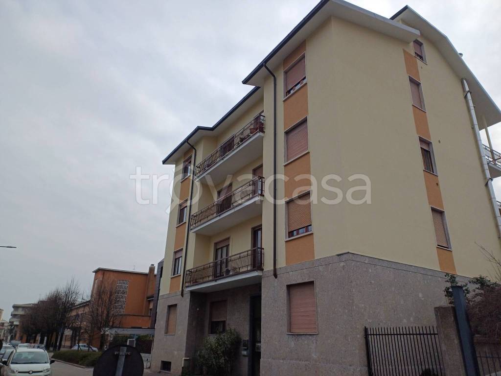 immagine annuncio 11 di 13