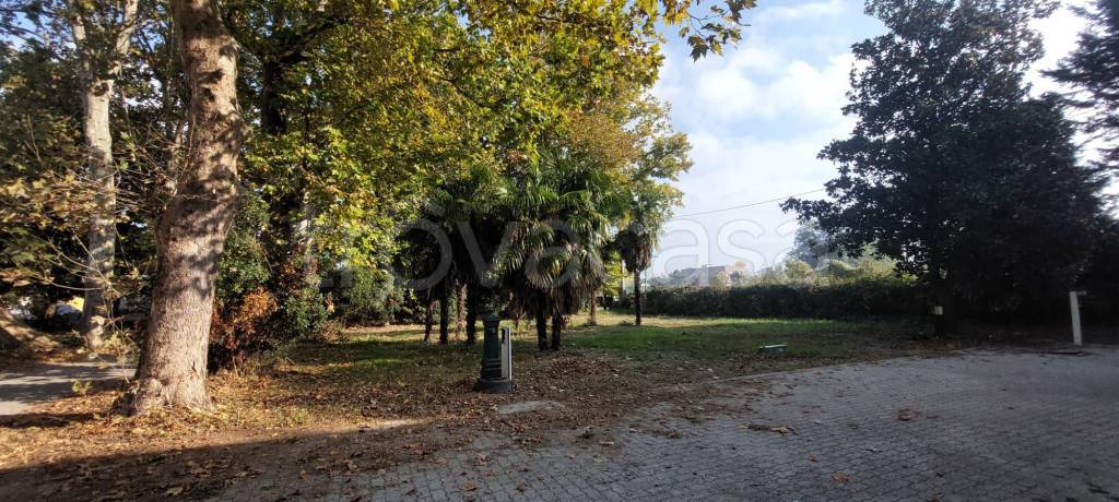 immagine annuncio 2 di 12