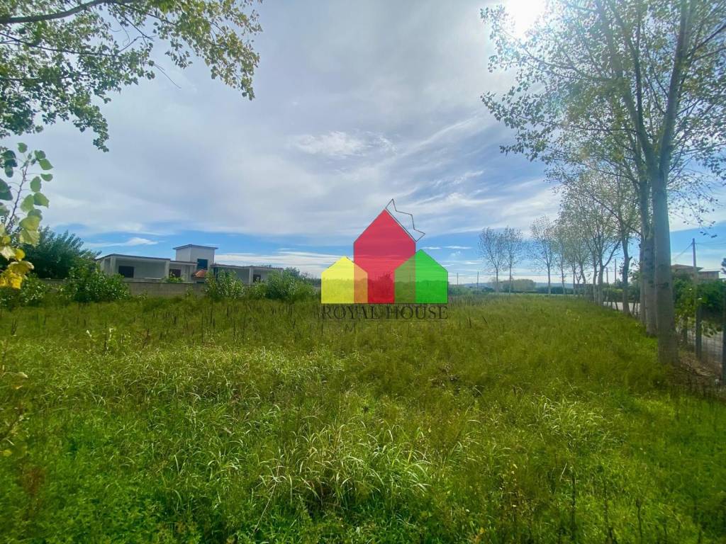 immagine annuncio 4 di 12