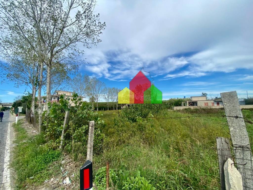 immagine annuncio 7 di 12