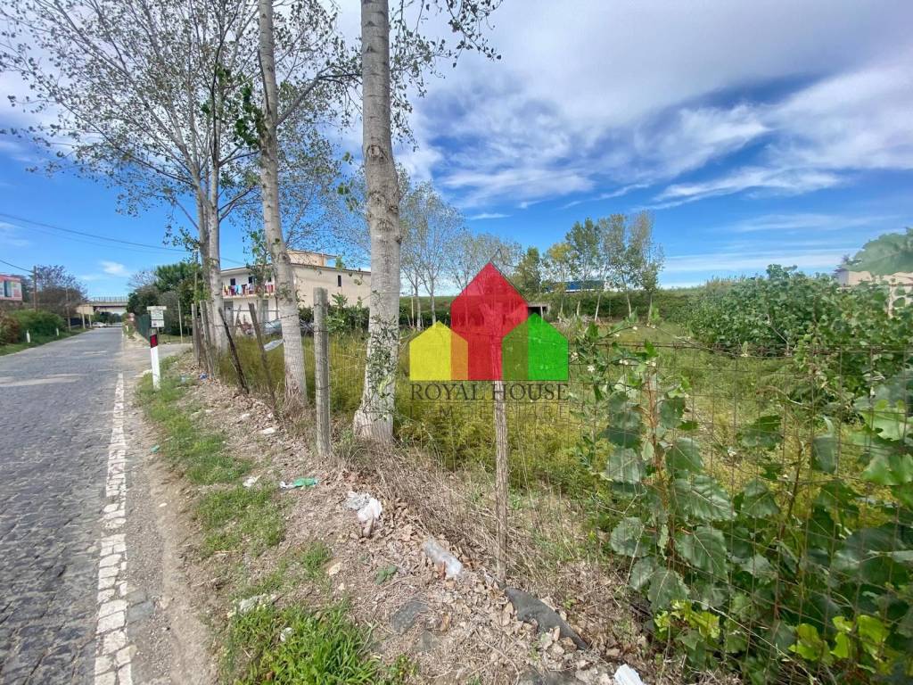 immagine annuncio 9 di 12