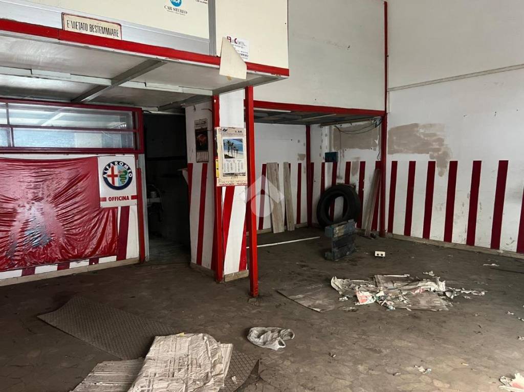 immagine annuncio 5 di 10