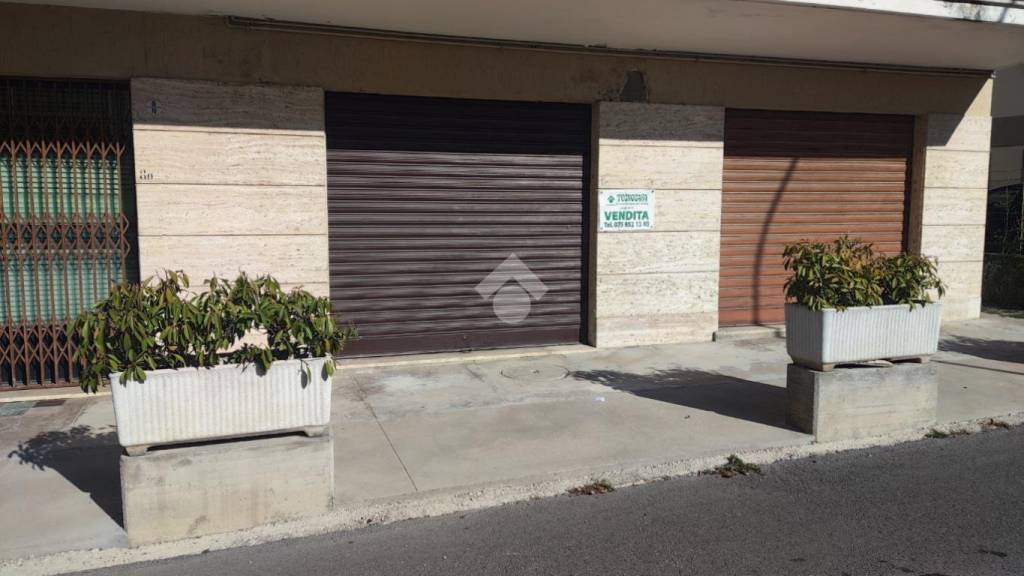 immagine annuncio 1 di 4