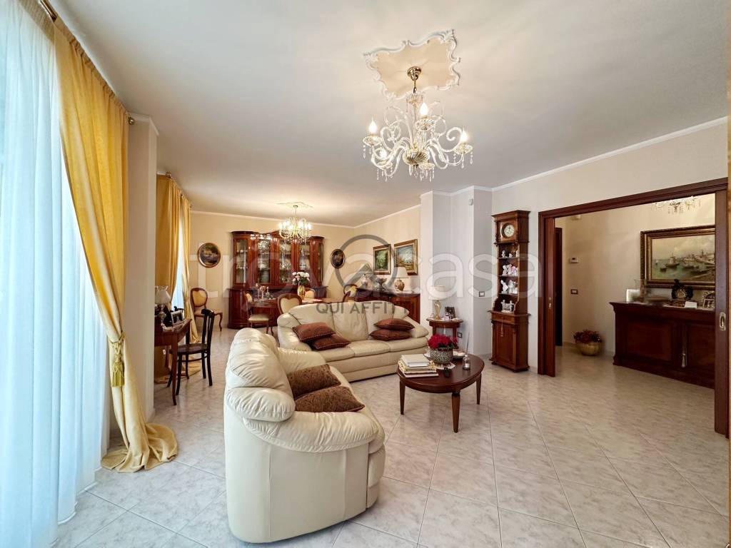 immagine annuncio 3 di 14