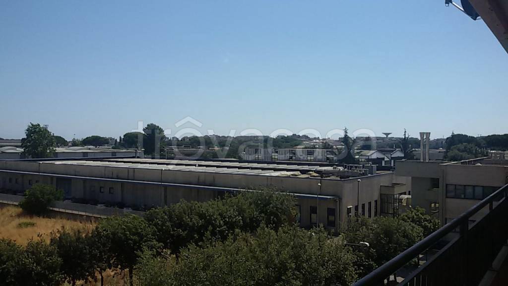 immagine annuncio 12 di 13