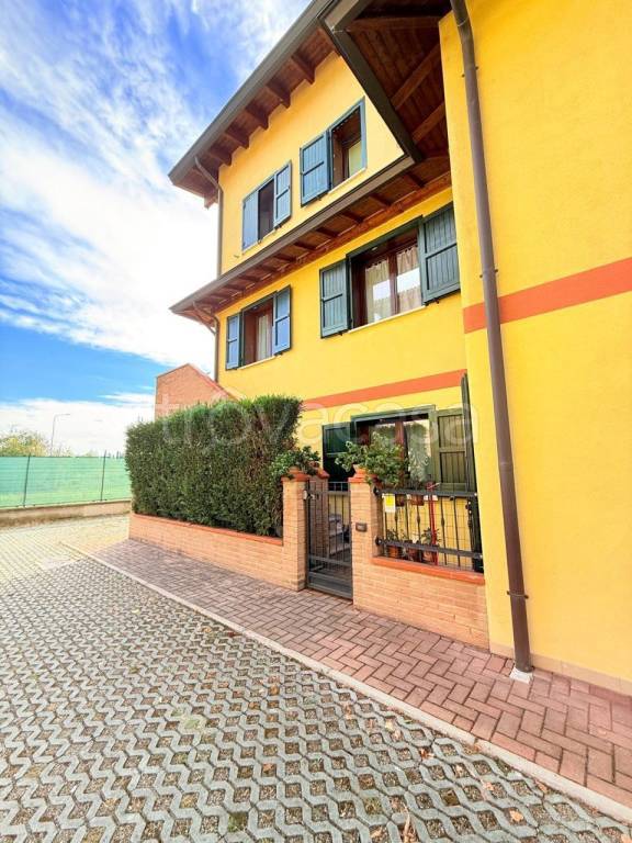 immagine annuncio 1 di 15