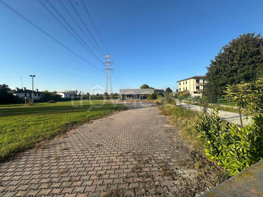 immagine annuncio 3 di 12