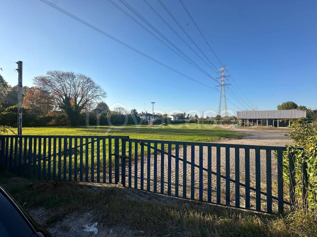 immagine annuncio 10 di 12