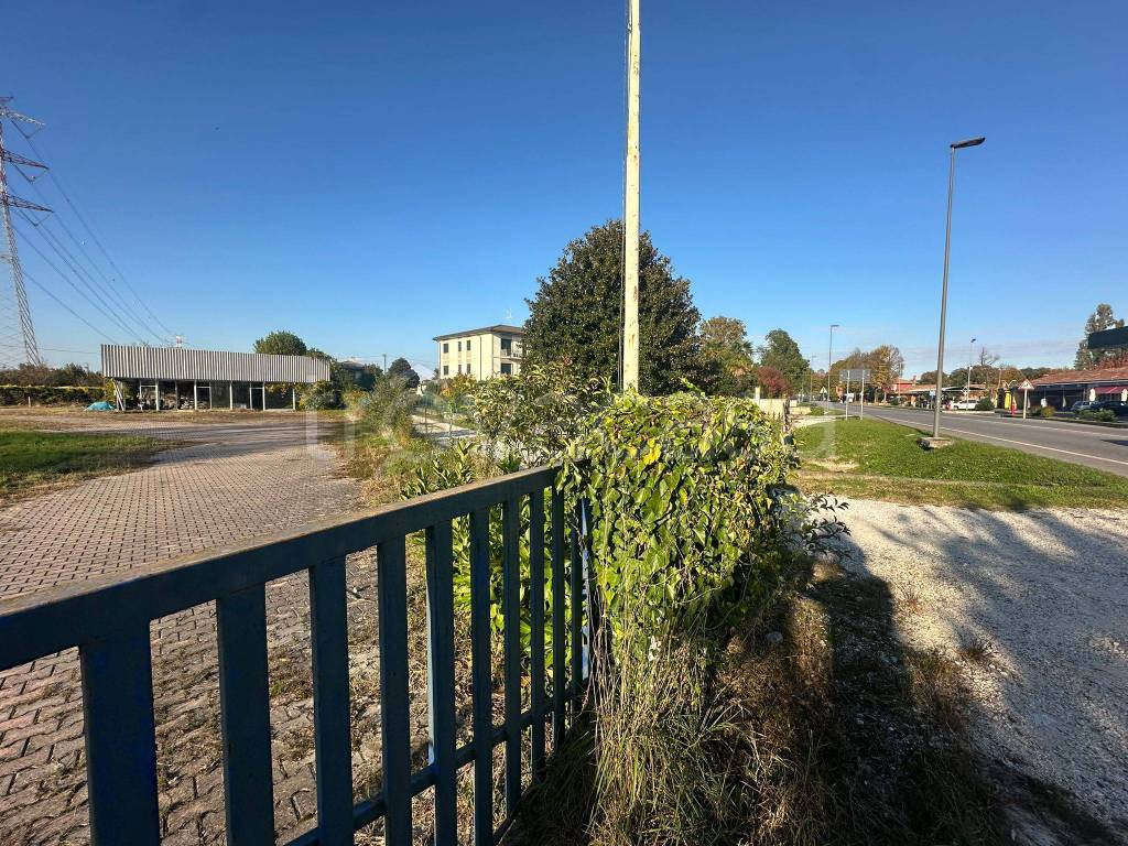 immagine annuncio 11 di 12