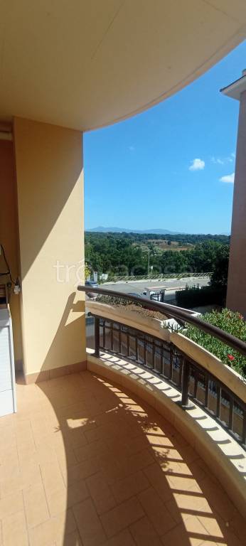 immagine annuncio 4 di 6