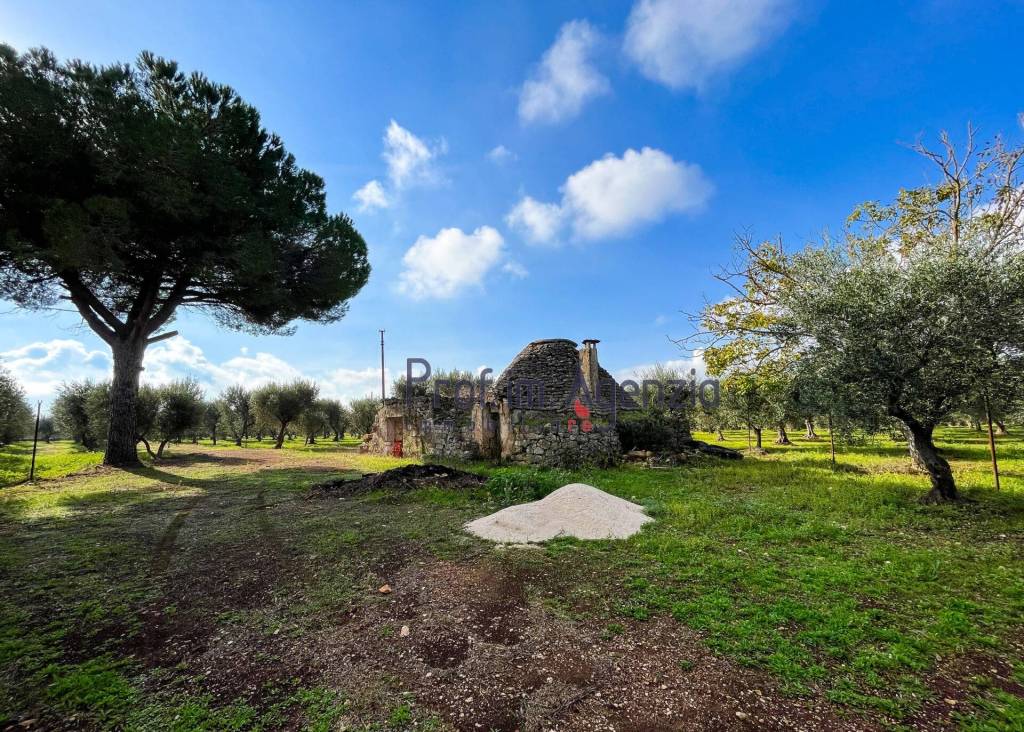 immagine annuncio 2 di 14