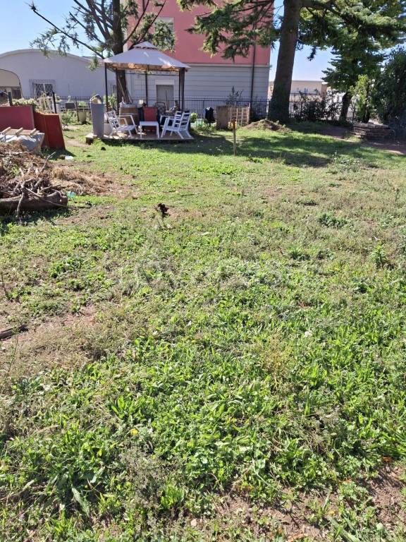 immagine annuncio 5 di 6