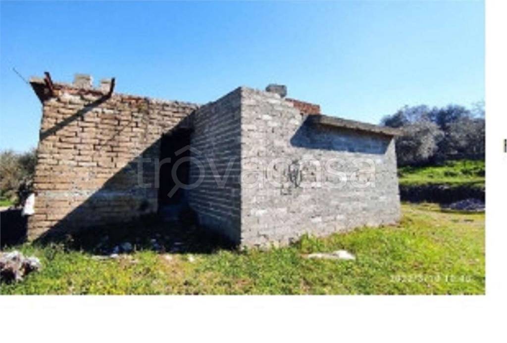 immagine annuncio 8 di 9