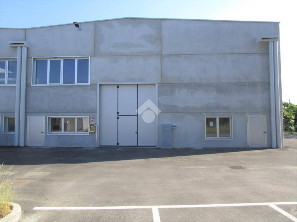 immagine annuncio 1 di 11