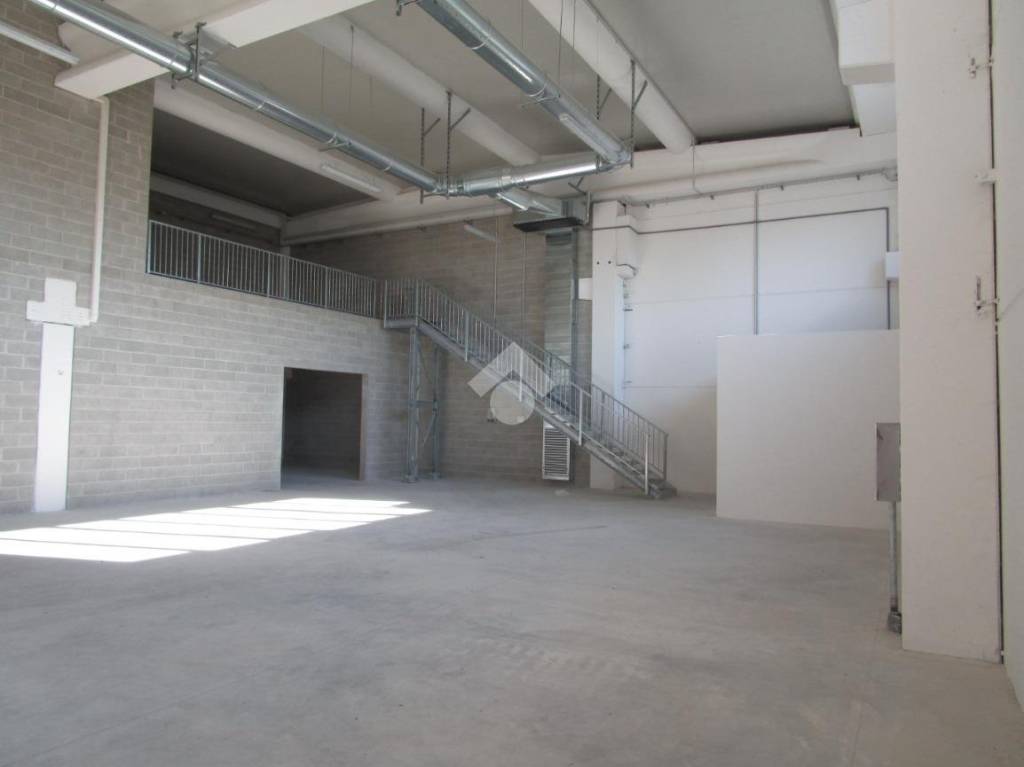 immagine annuncio 2 di 11